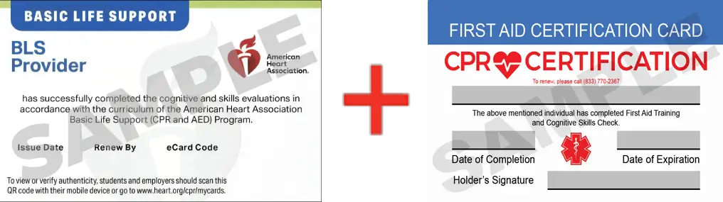 Sample American Heart Association AHA BLS CPR Card Certificaiton and First Aid Certification Card from CPR Certification Lakeland